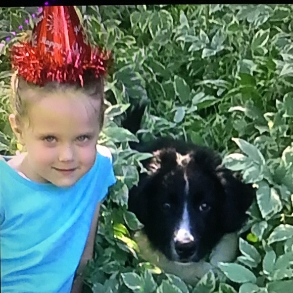 Meet your Posher, Miley - Picture 1 of 1